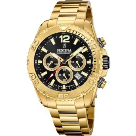 Festina   F20684/4