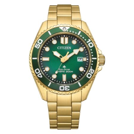 citizen BN0262-59W