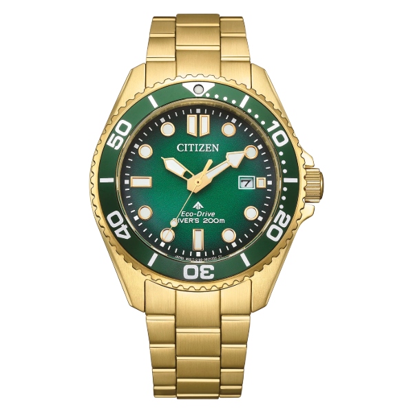 citizen BN0262-59W